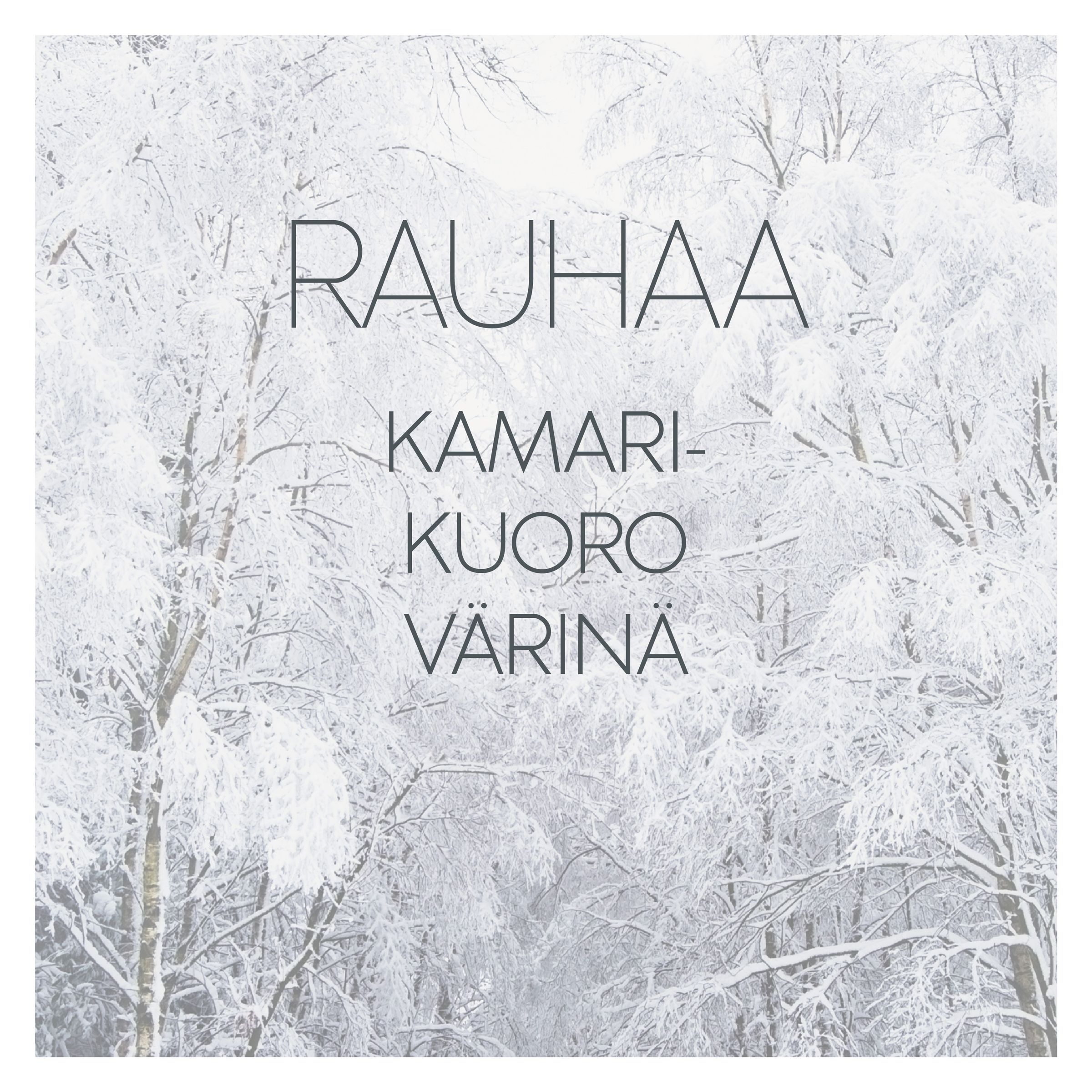 Rauhaa levyn kansi Rauhaa levyn kansi